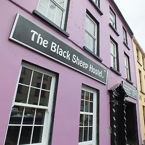 The Black Sheep Auberge de jeunesse